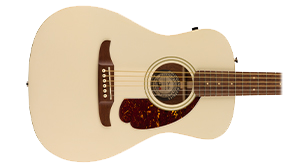 UNIQUE FENDER BODY SHAPE