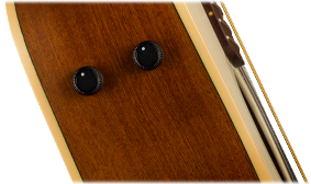 FISHMAN PREAMP SYSTEM