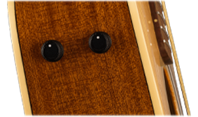 FISHMAN PREAMP SYSTEM