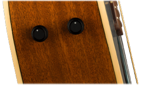 FISHMAN PREAMP SYSTEM