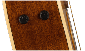 FISHMAN PREAMP SYSTEM