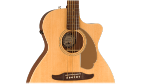 WALNUT FINGERBOARD AND BRIDGE