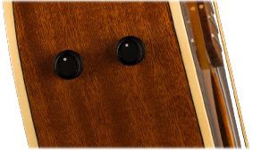 FISHMAN PREAMP SYSTEM