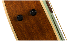 FISHMAN PREAMP SYSTEM