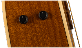 FISHMAN PREAMP SYSTEM