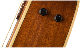 FENDER- AND FISHMAN-DESIGNED PREAMP SYSTEM