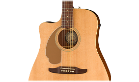 WALNUT FINGERBOARD AND BRIDGE