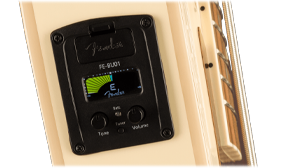 FENDER-DESIGNED PREAMP SYSTEM