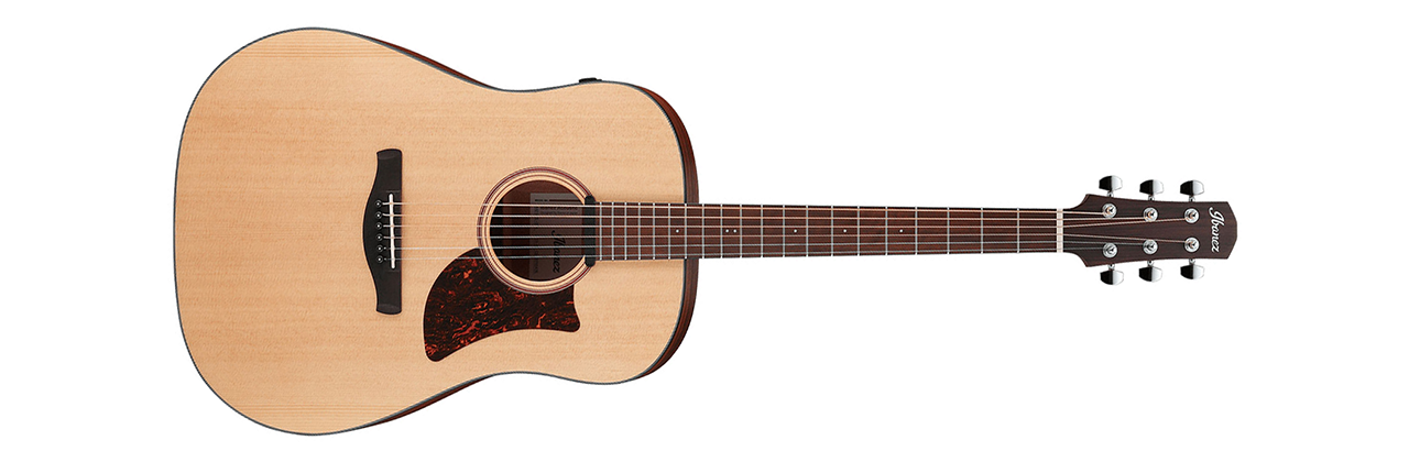 Ibanez AAD100E
