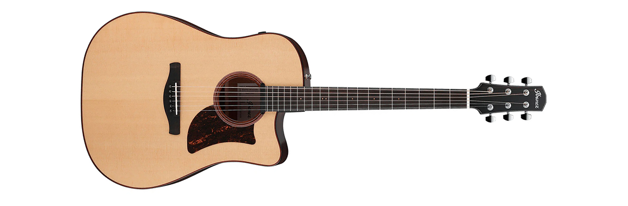 Ibanez AAD300CE