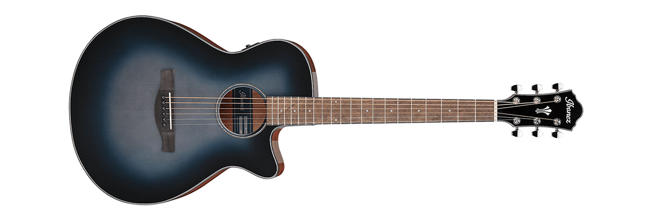 Ibanez AEG50