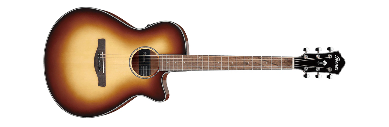 Ibanez AEG50