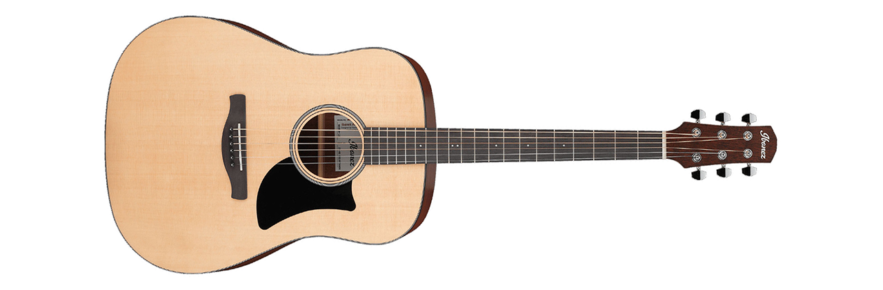 Ibanez AAD50