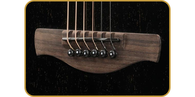 Ibanez AAM340CE-RUB