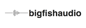 Big Fish Audio
