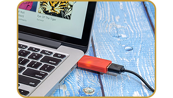 iFi iDefender+