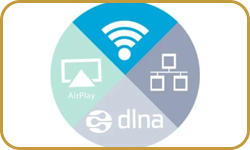 LINKPLAY