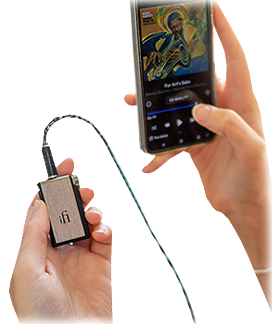 iFi Audio - GO blu