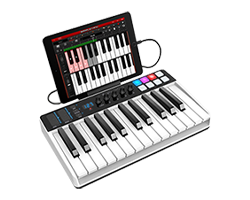 irig keys i/o 25