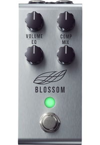 Jackson Audio - 'Blossom'