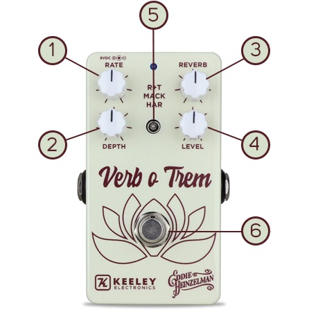 Keeley - 'Verb-o-Trem'