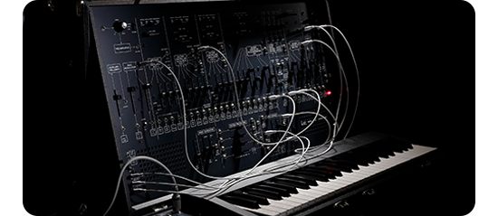arp