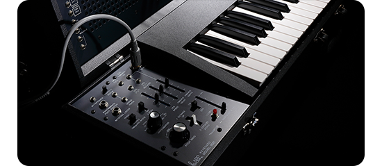 arp