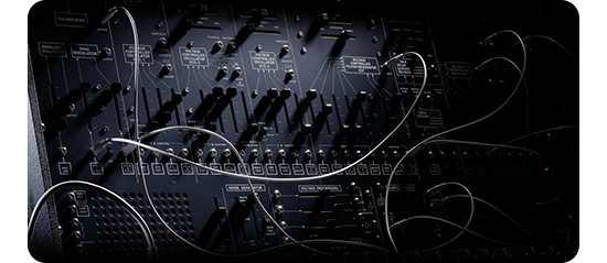 arp