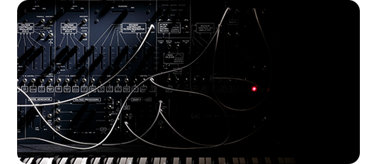 arp