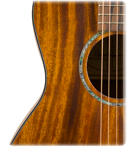 Levinson - Canyon Vermillon