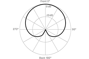Lewitt MTP 250 DM