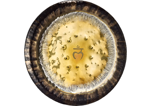 Meinl G24RC1
