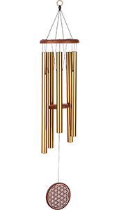 Meinl BAMC29S