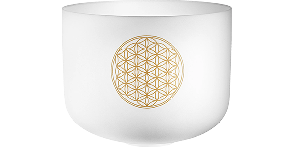 Meinl PCSB16FOL