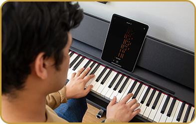 Roland F107