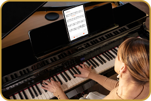 Roland GP-6