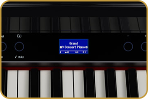 Roland GP-6