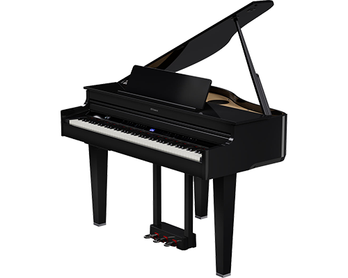 Roland GP-6