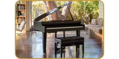 Roland GP-6