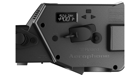 roland ae-10