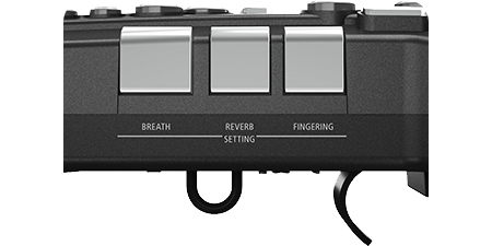 roland aerophone go