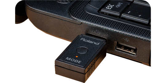 roland wm-1