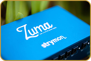 Strymon Zuma