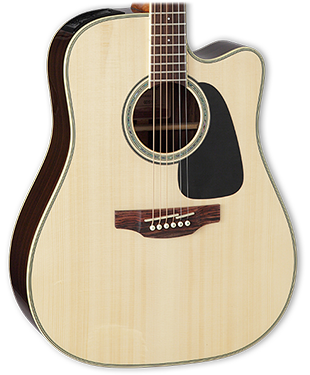 Takamine GD20CE NS Natural Satin