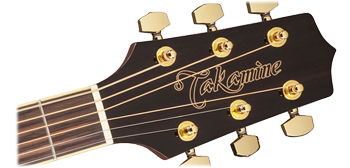 Takamine GD51-BSB