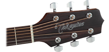 Takamine GD51-BSB