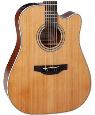 Takamine GD20CE NS Natural Satin