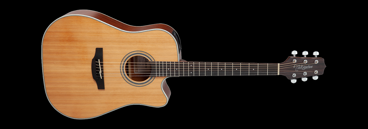 Takamine GD20CE NS Natural Satin
