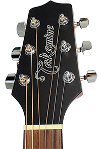 Takamine - GD11M