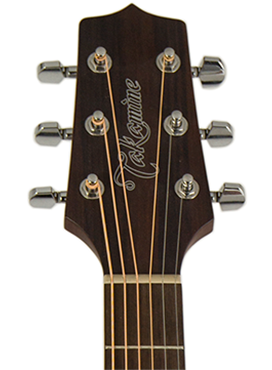 Takamine gd20 Natural